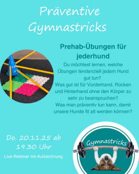 Präventive Gymnastricks: Prehab-Übungen für jederhund