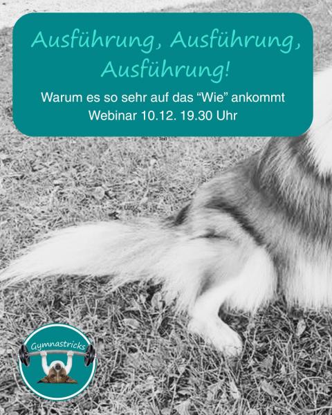 Ausführung, Ausführung, Ausführung! Webinar